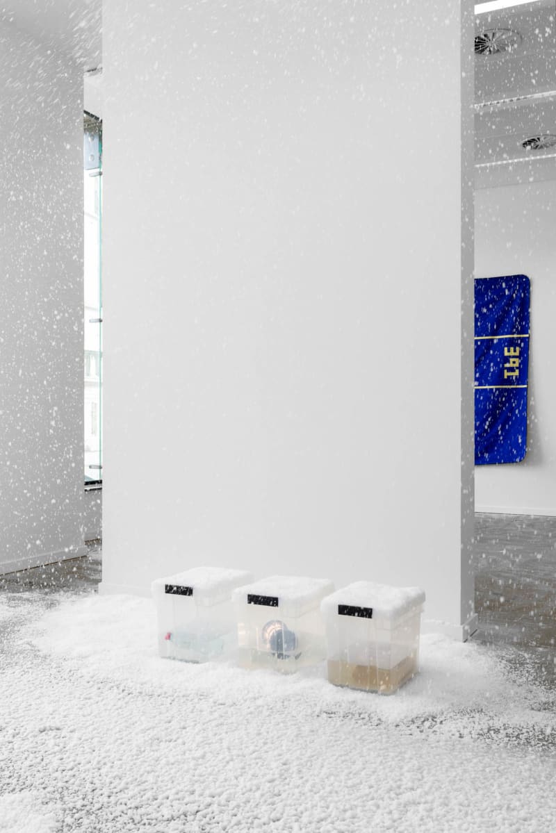 Alpine XP, 2025. Installation view. Scenography by Amélie Mckee and Melle Nieling. Works by Theo Ellison and Tarzan Kingofthejungle.