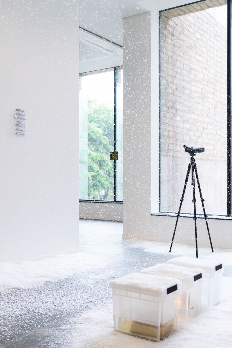 Alpine XP, 2025. Installation view. Scenography by Amélie Mckee and Melle Nieling. Works by Theo Ellison and Tarzan Kingofthejungle.