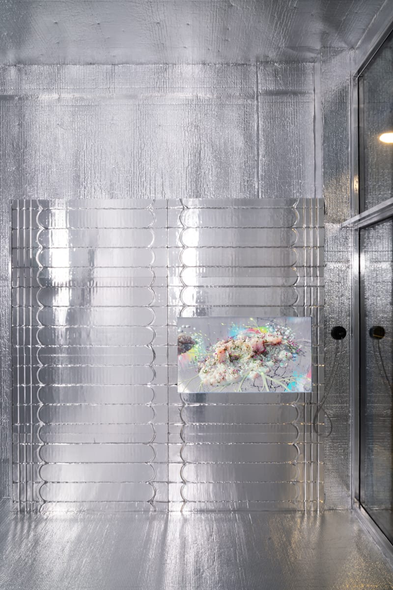 Plane of Incidence I - AI, Sabrina Ratté, 2024.