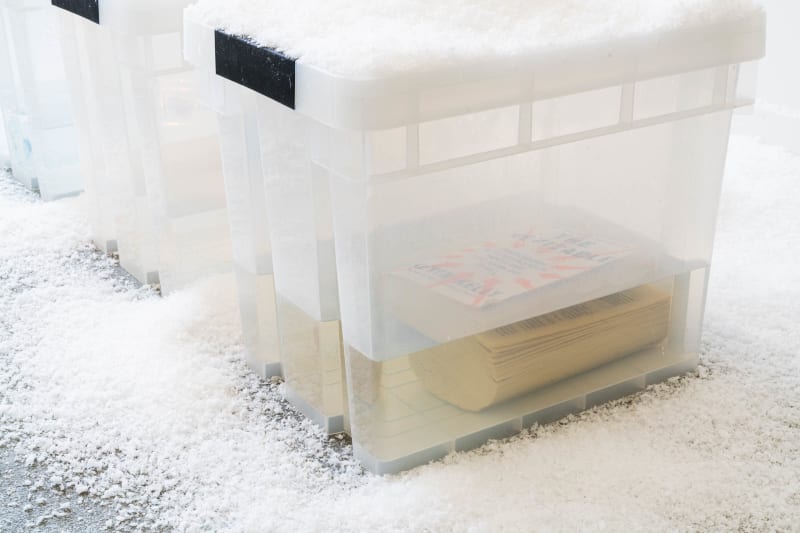 Macguffin 6 (book), Tarzan Kingofthejungle, 2025.