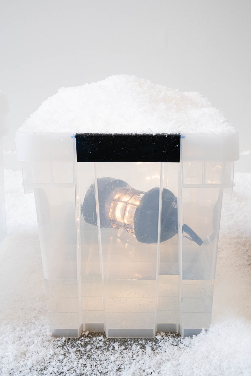 Macguffin 4 (lantern), Tarzan Kingofthejungle, 2025.