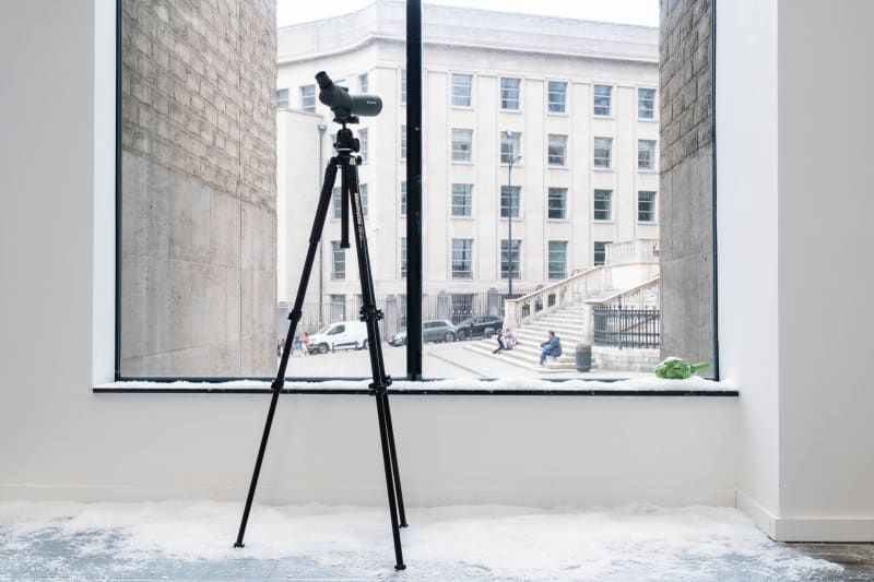 Alpine XP, 2025. Installation view. Scenography by Amélie Mckee and Melle Nieling. Works by Theo Ellison and Tarzan Kingofthejungle.