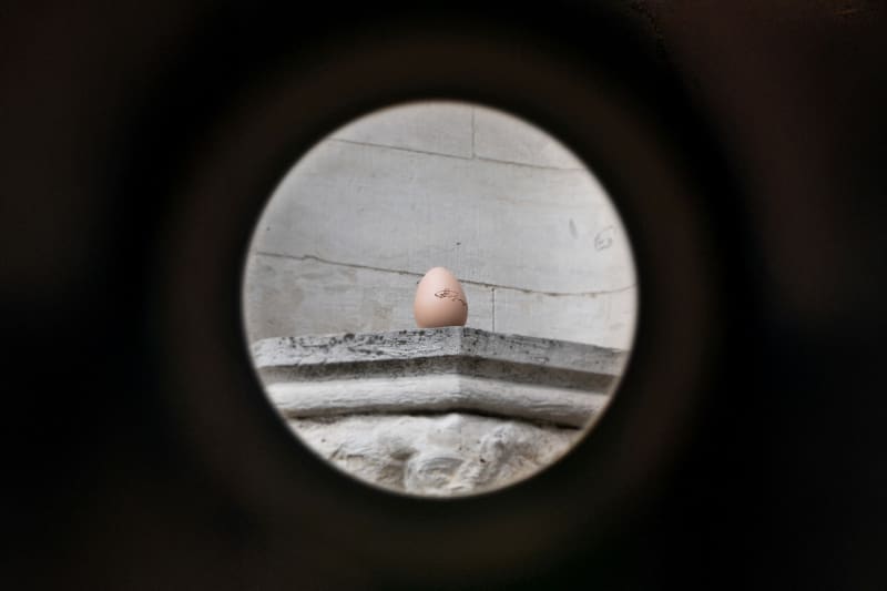 Romantic Egg, Theo Ellison, 2025.