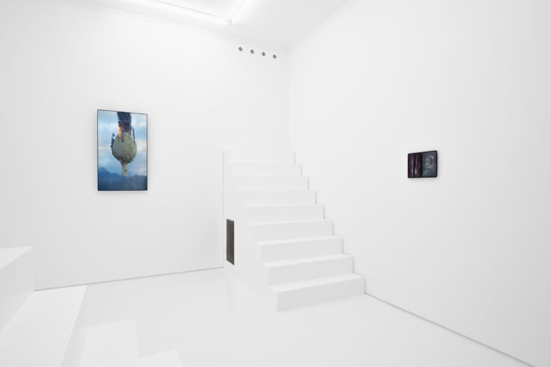 Step 1: Request Lambo, 2025. Installation view.