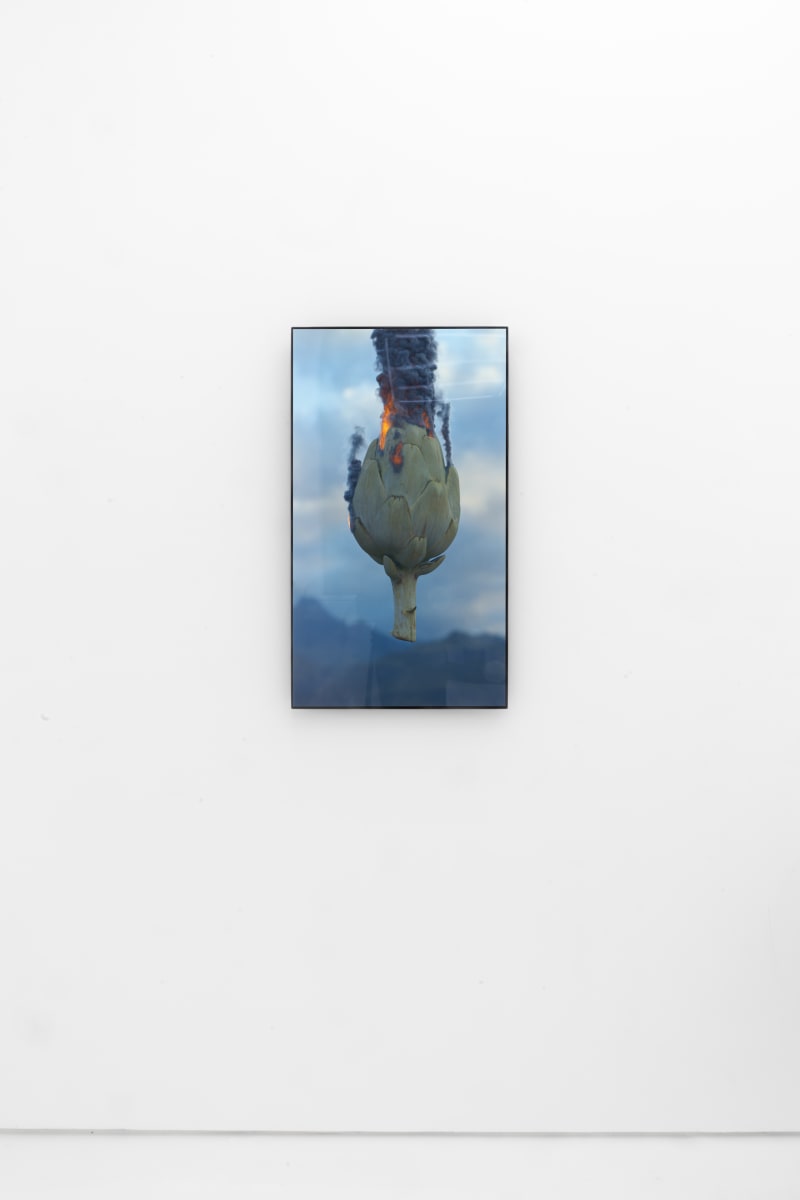 Trinket by Theo Ellison, 2025.