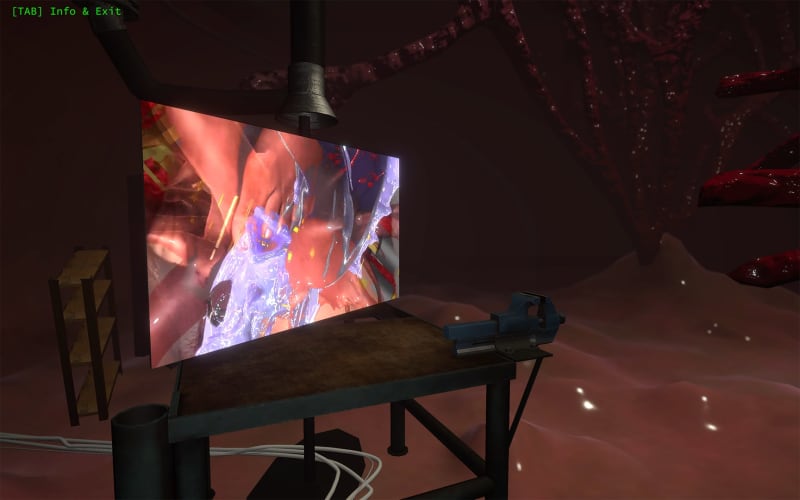 a screenshot of Johanna Bruckner's work in CELL 001