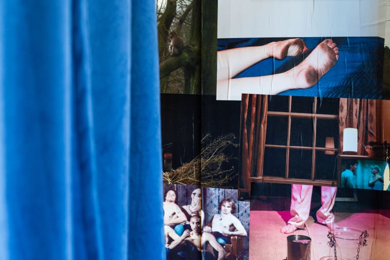 Terror on Main (2025) by Lily Bloom.