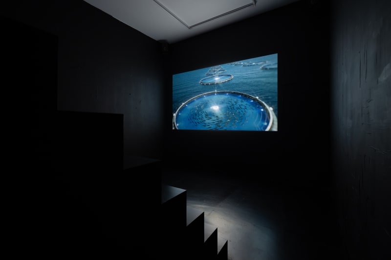 Step 4. PROFIT, 2025. Install shot #1.