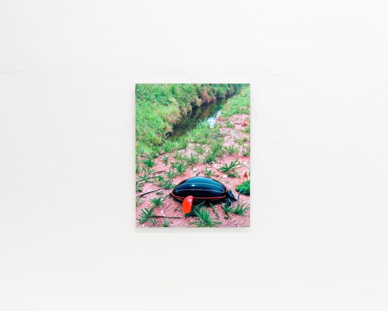 installation shot of one of the prints of On Alignment
