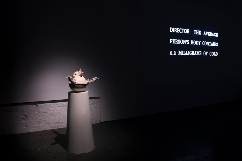 left to right: Pilot Solutions by Amélie Mckee and On the Making of Maggots by Ma Baocheng