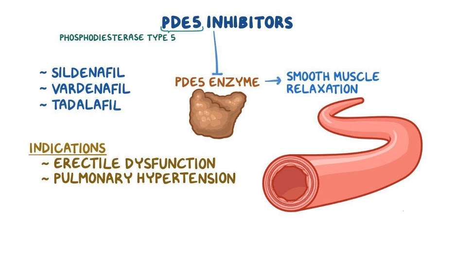 Graphic explaining the PDE5 inhibitor mechanism of action