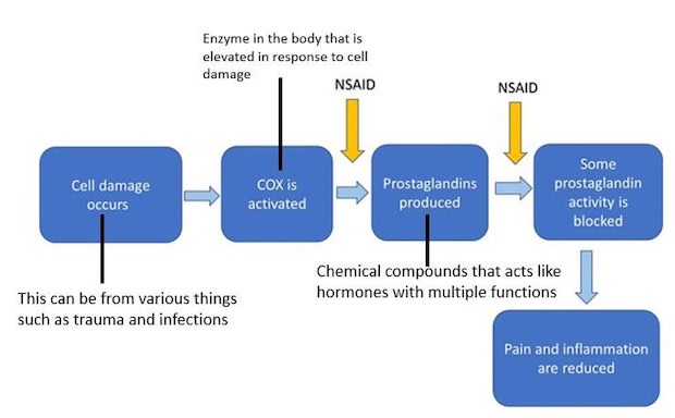 Flowchart showing the function of NSAIDs, the most common type of over-the-counter and prescribed anti-inflammatory drug.