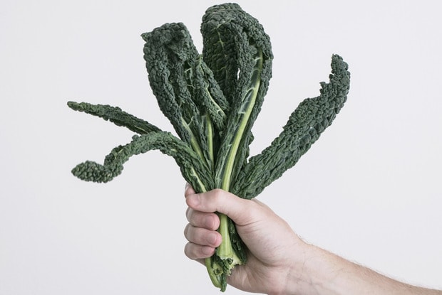 someone holding kale