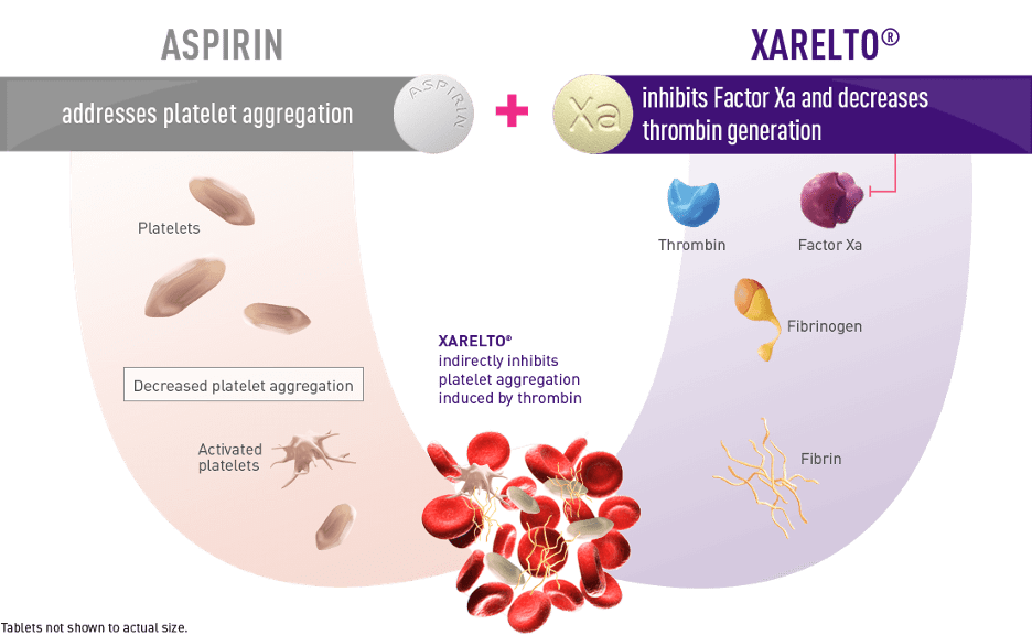 Graphic showing how the right Xarelto dosage works to inhibit Factor Xa and prevent blood clots.