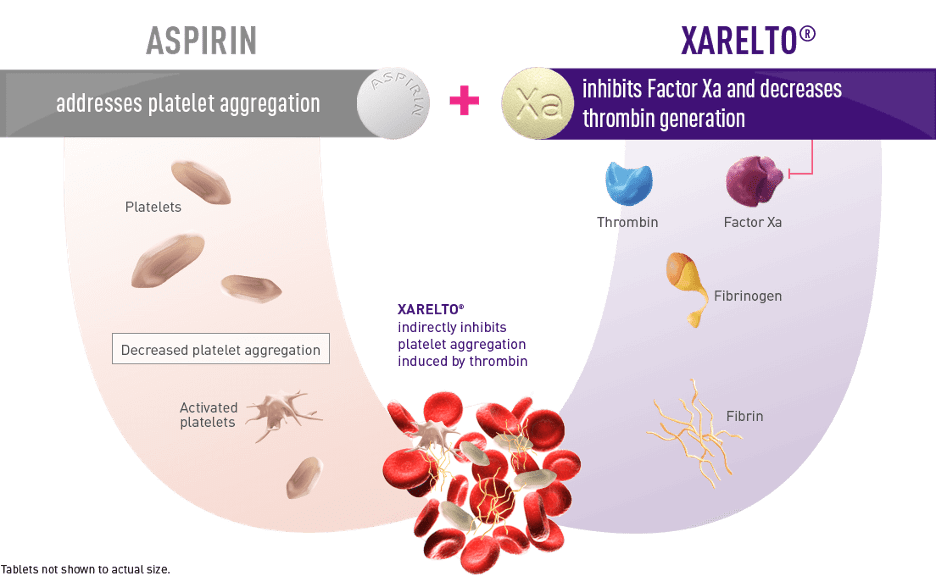 Image that emphasizes Xarelto’s mechanism of action as a blood thinner, which is to inhibit Factor Xa