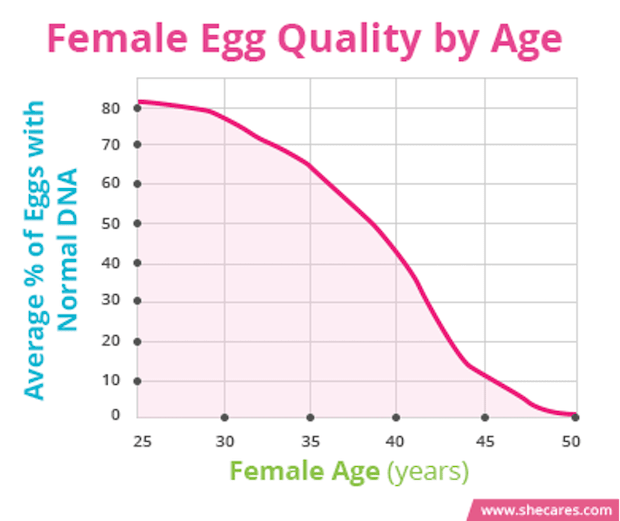 Line graph showing the decline of a woman’s egg quality after age 35.