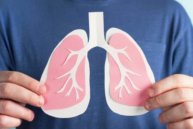 a paper model of the lungs