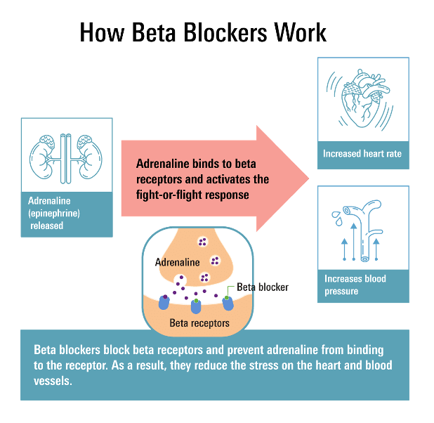  Diagram explaining how beta blockers work by blocking adrenaline to decrease heart rate and blood pressure