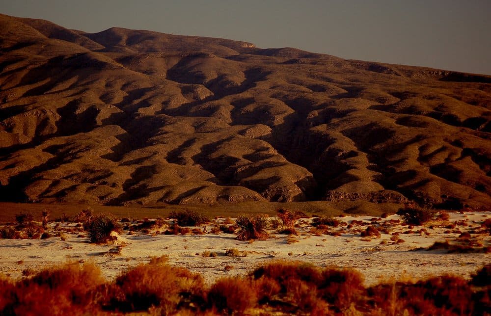 cuatro cienegas