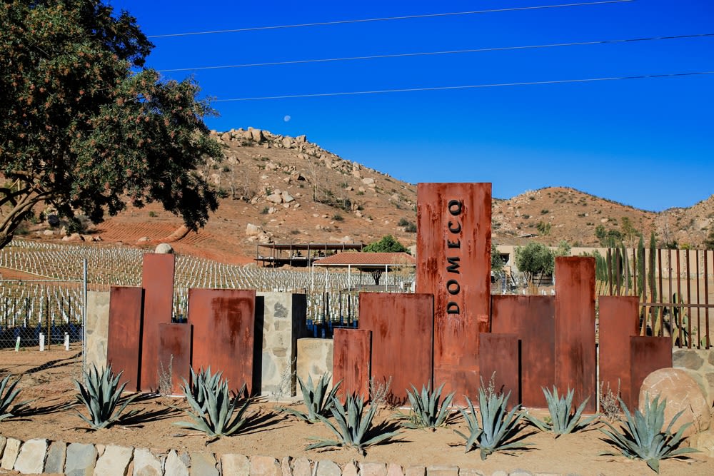 best wineries valle de guadalupe