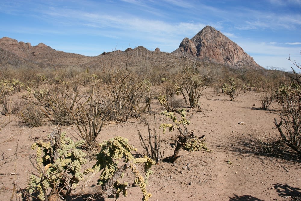 baja california sur