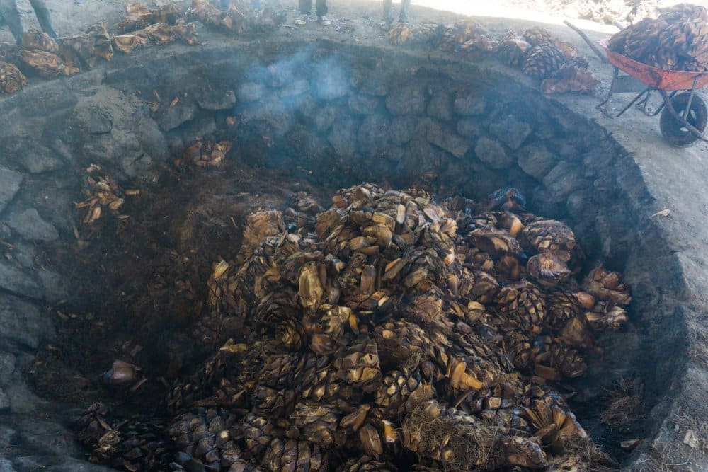 pechuga mezcal