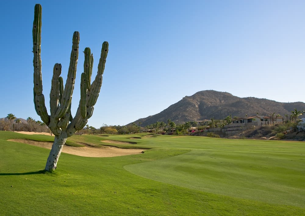 best golf courses in mexico