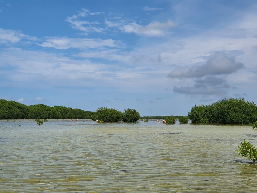 sisal yucatan