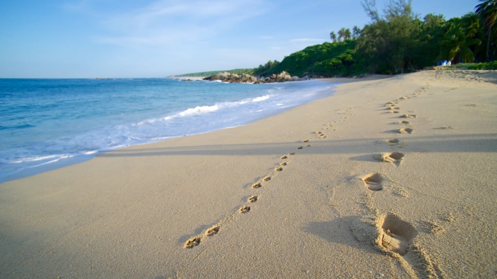 best beaches in oaxaca