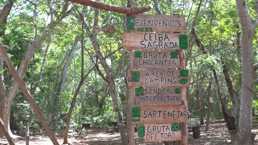 tekax yucatan