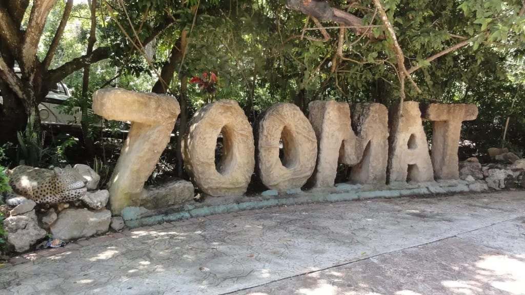 tuxtla gutierrez chiapas zoo