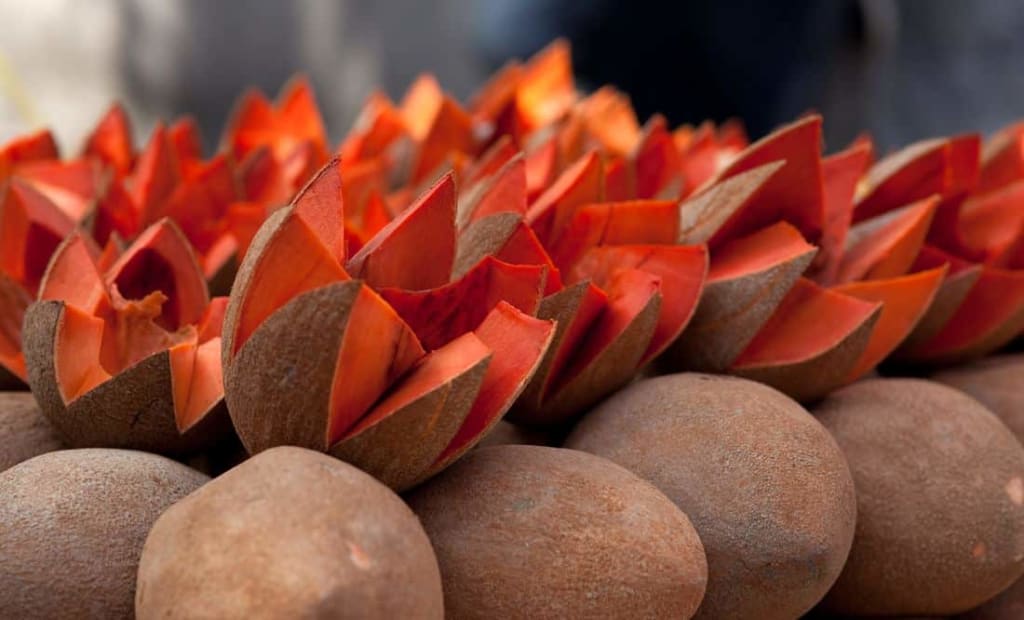 fruits of mexico