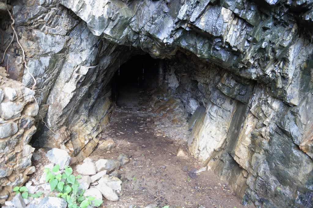 mexico mining