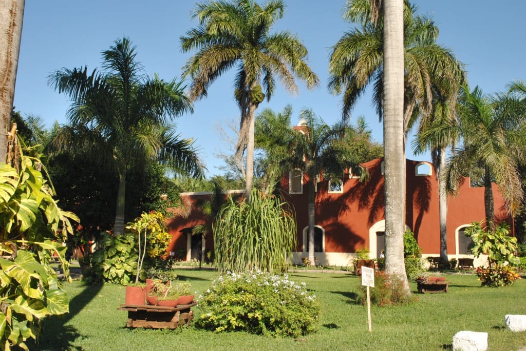motul yucatan