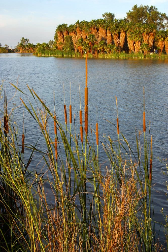 san felipe mexico