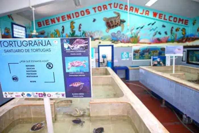 mexico travel and leisure