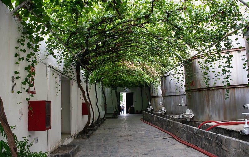 parras mexico