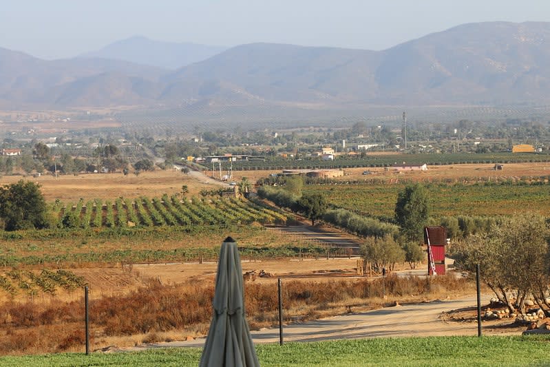 decantos winery