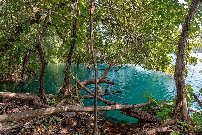 mexico cenotes