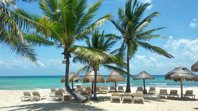 xcalacocos