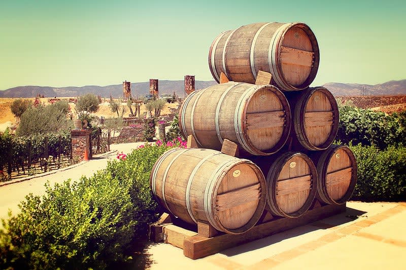 garza vineyards