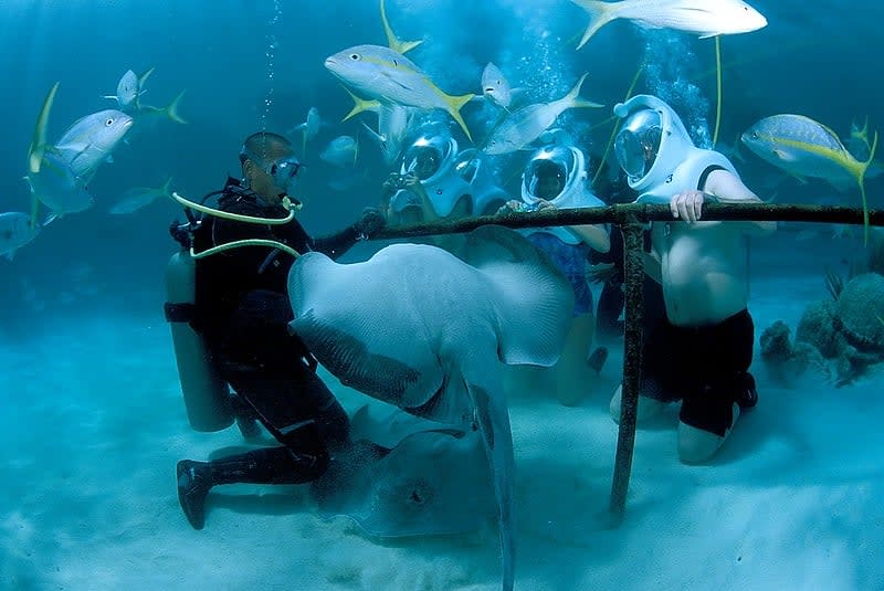 xel-ha park