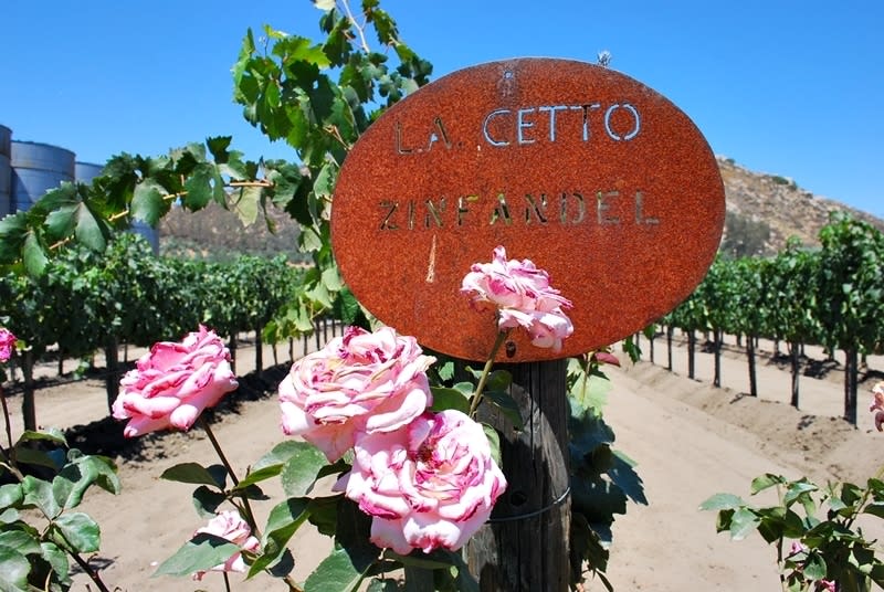 best wineries valle de guadalupe