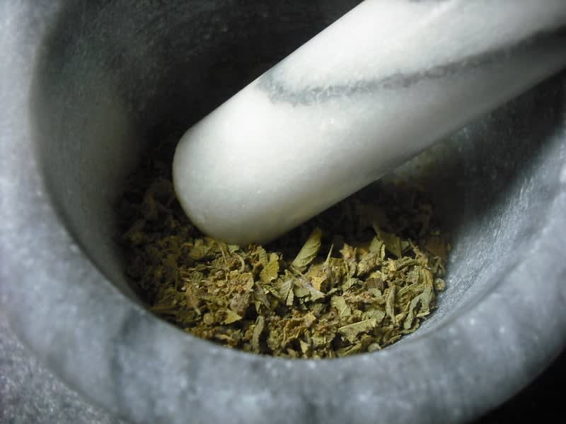 oregano