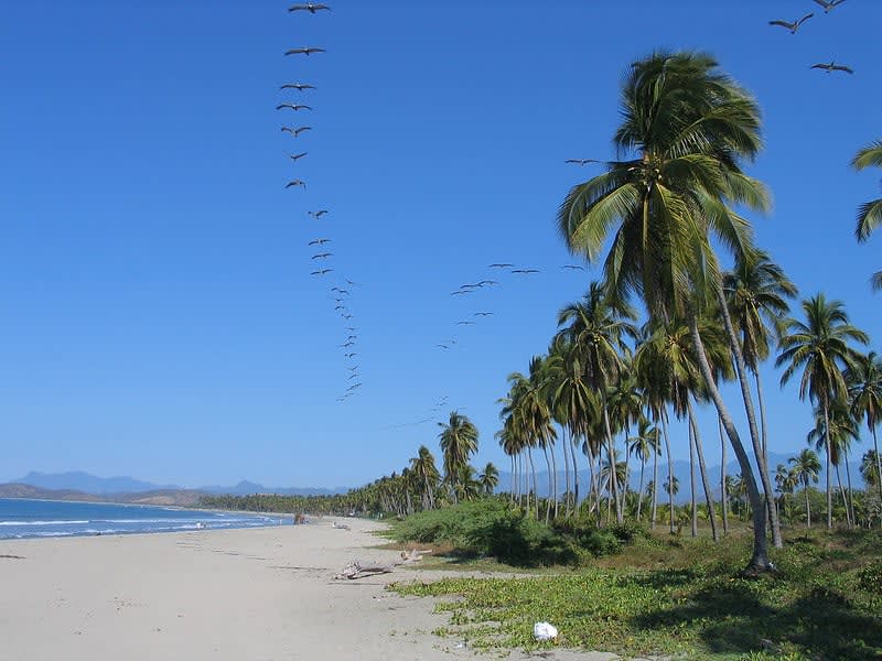 ixtapa zihuatanejo beaches