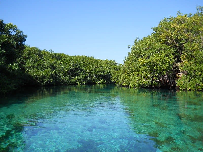 mexico cenotes