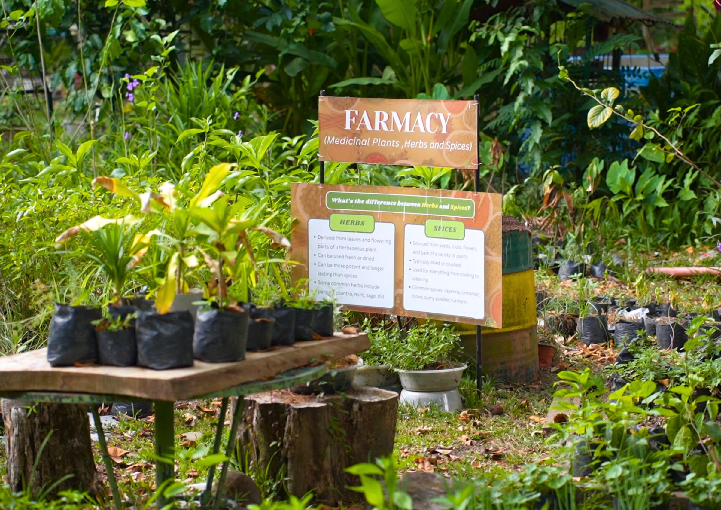 Farmacy