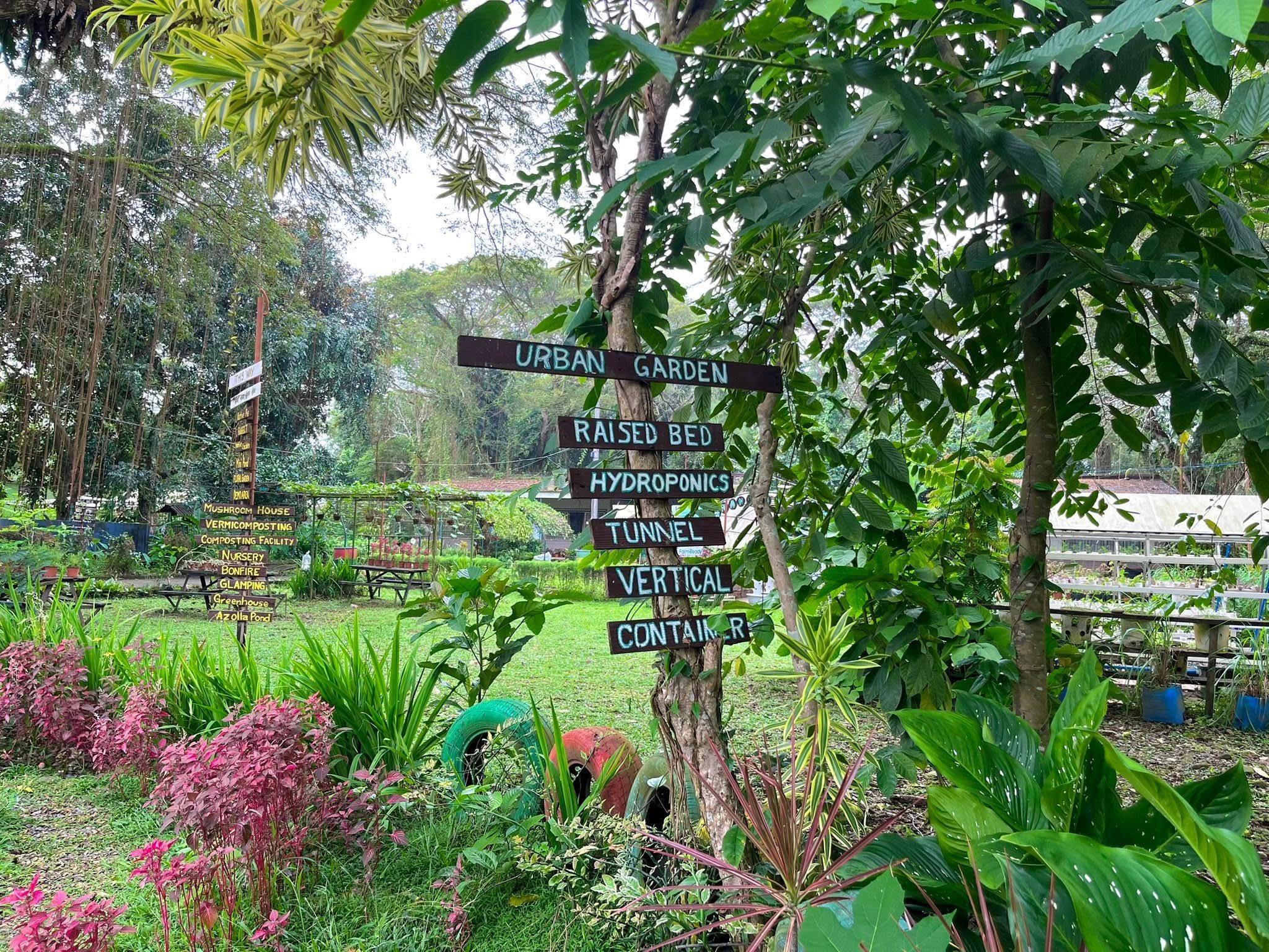 Grandpa’s Farm