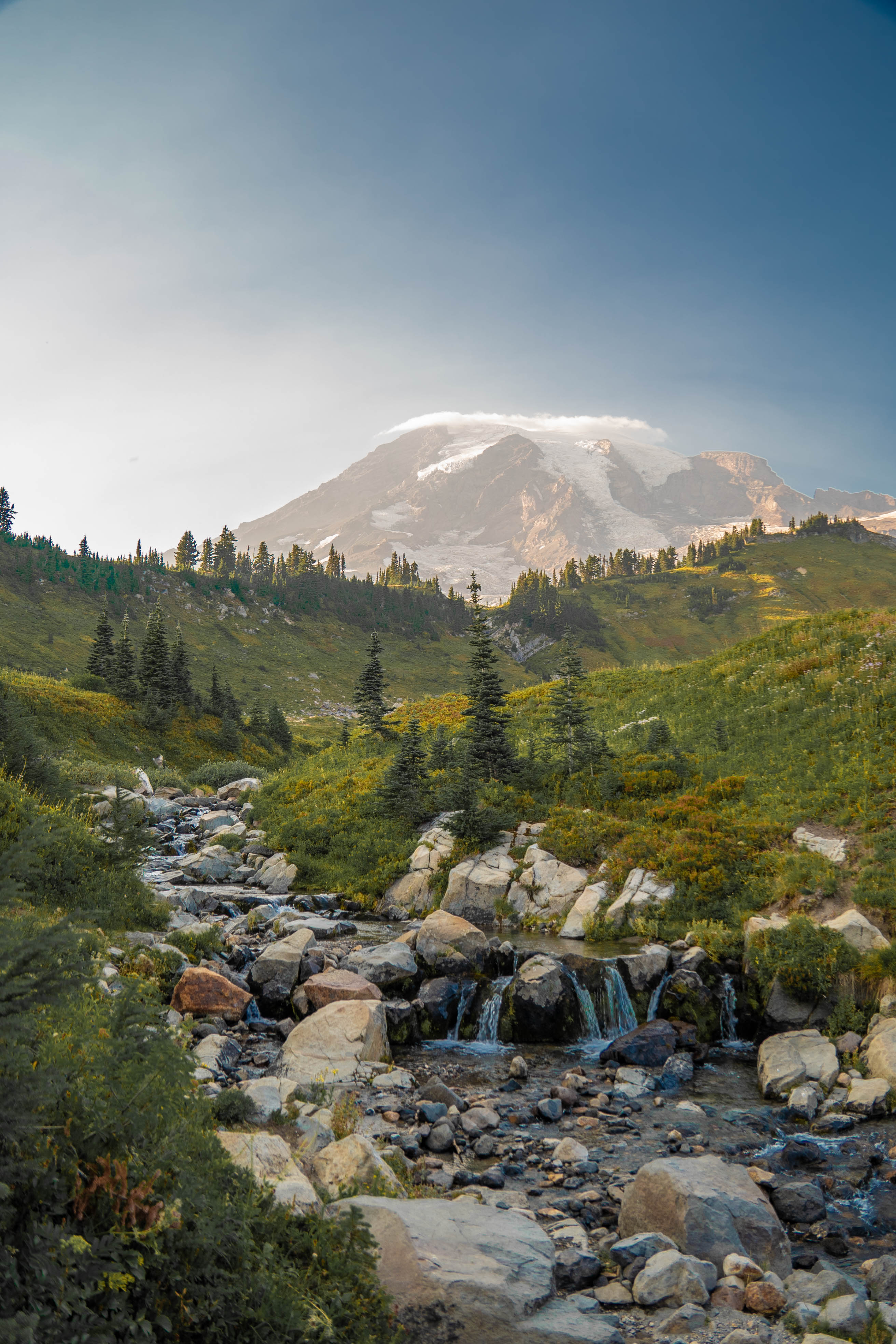 Mt. Rainier collection cover