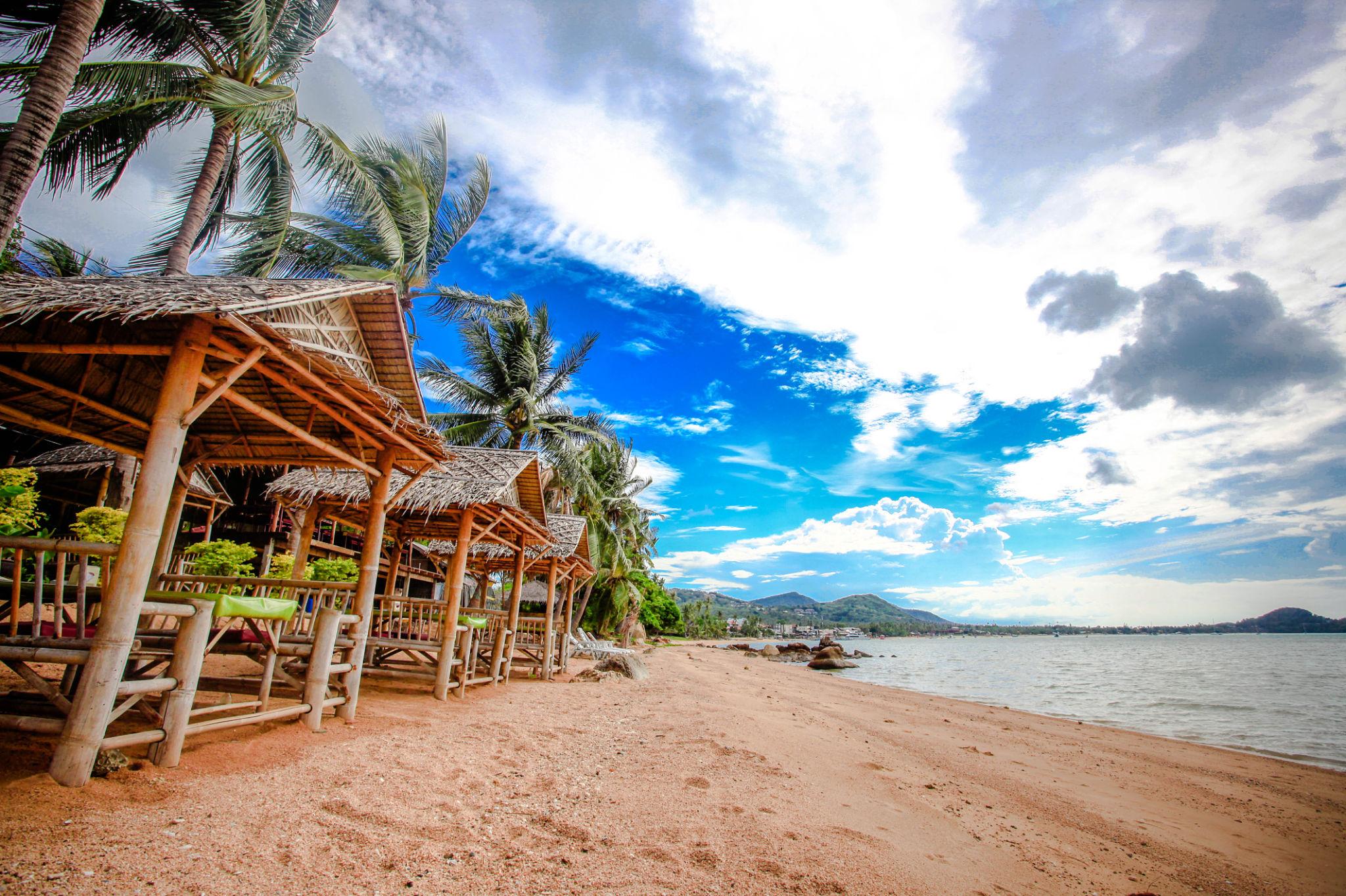 Пляжі Koh Samui з пальмами